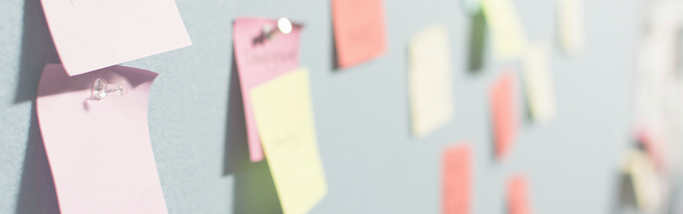 教育制度のビジュアル